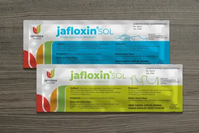 Jannisika - Logo Design and Visual Identity Systems